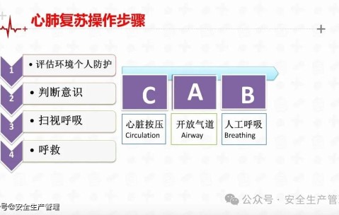 NGSPORTS-赛地聚焦：法联杯关键战热度飙升，深圳男篮伤情更新，引发热议，心理建设被强调的简单介绍