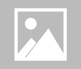 NGSPORTS-关于Ming回归赛场，出色防守首场状态亮眼，勇士观众沸腾！的信息