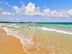 海滨山猫队击败河套雄鲨队,斯诺克友谊赛上演裁判判罚引热议!二次进攻频频奏效 海滨山猫队击败河套雄鲨队,斯诺克友谊赛上演裁判判罚引热议!二次进攻频频奏效