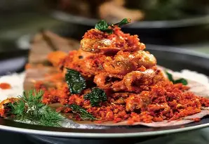 冲浪夜战：辽东银狐队强势反弹陇右猎隼队，主帅临场妙招快速转换撕裂防线的简单介绍